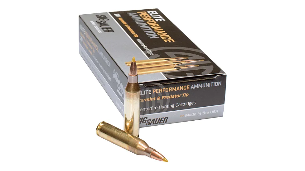 Federal HST .45 ACP 230gr +P